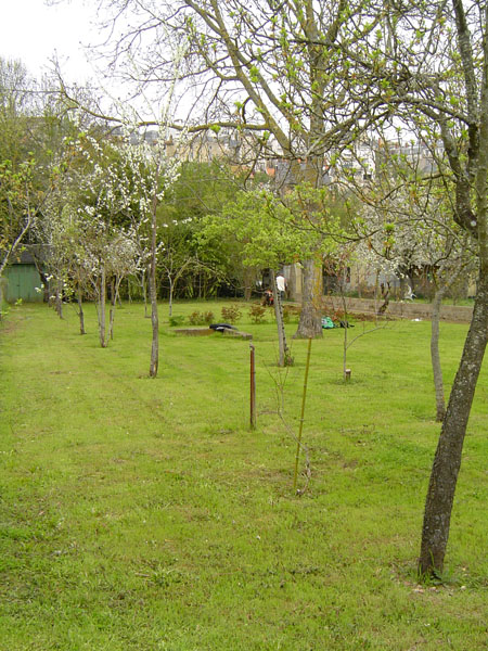 01jardin.JPG