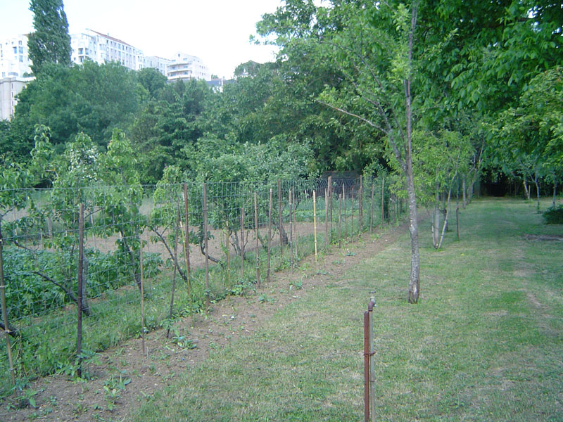 08jardin.JPG