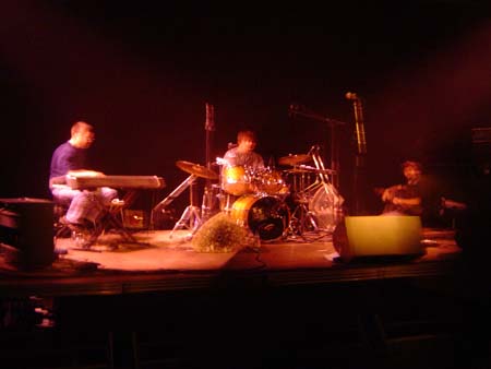 DSC03340.jpg