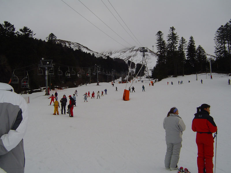 DSC05208.jpg