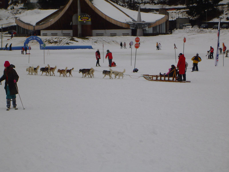 DSC05213.jpg