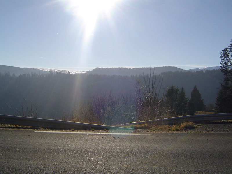 DSC05264.jpg