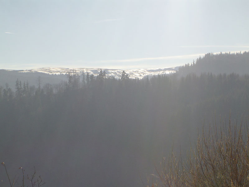 DSC05265.jpg