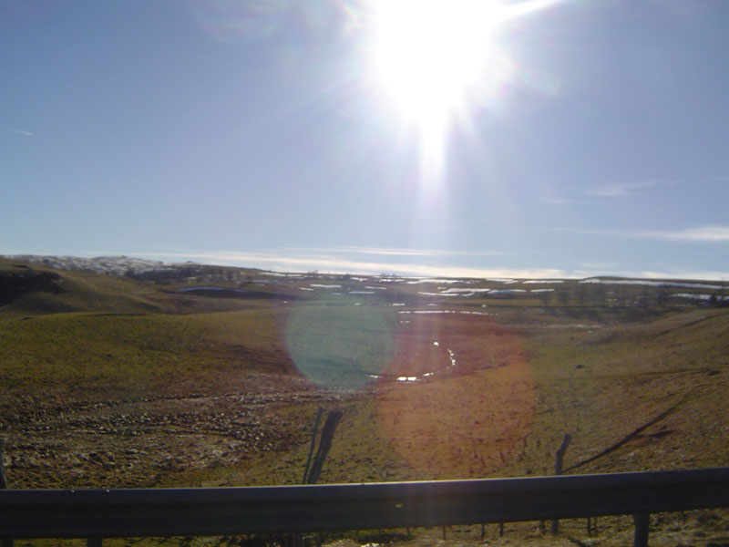 DSC05266.jpg