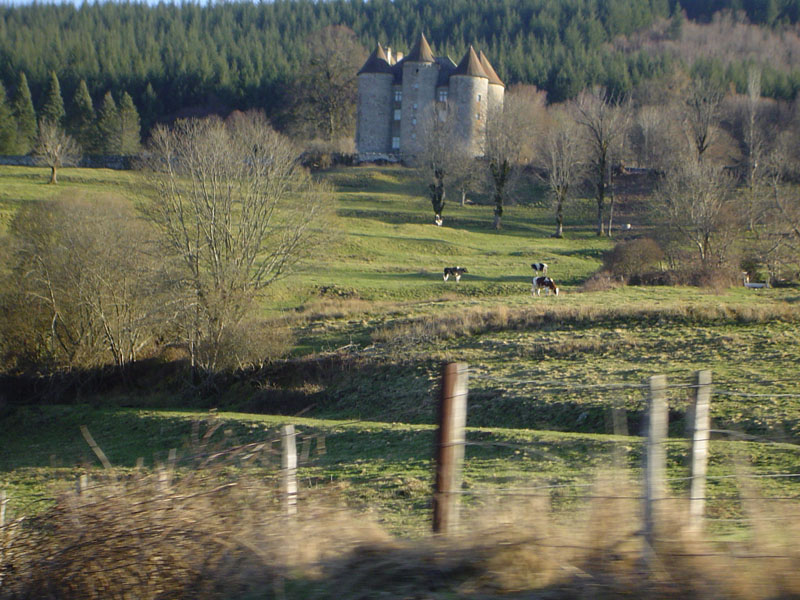 DSC05444.jpg