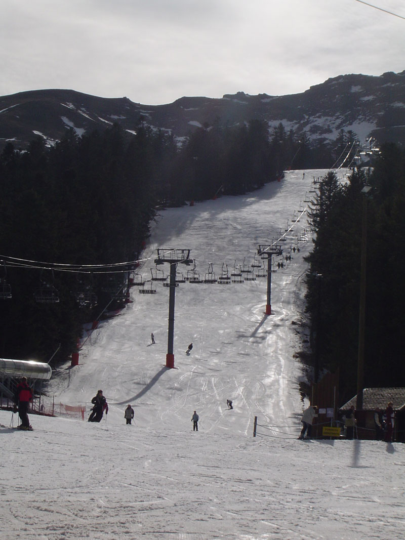 DSC05461.jpg