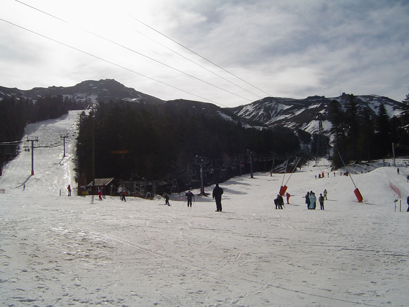 DSC05463.jpg