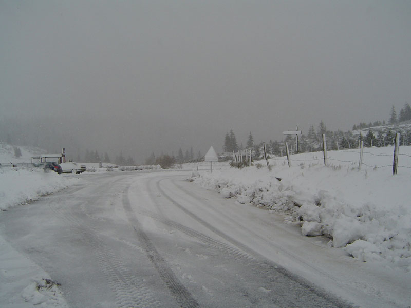DSC05528.jpg