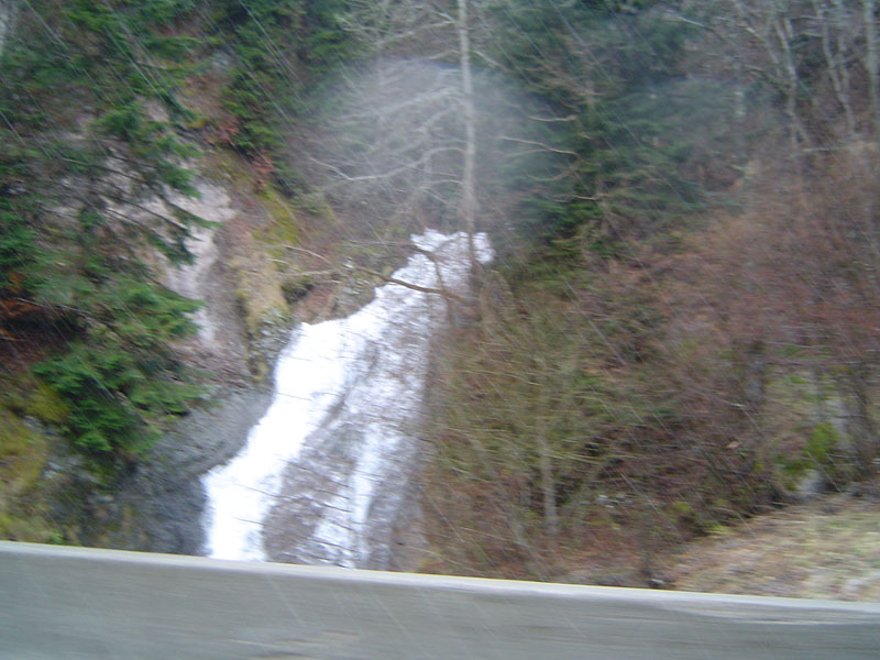 DSC05533.jpg