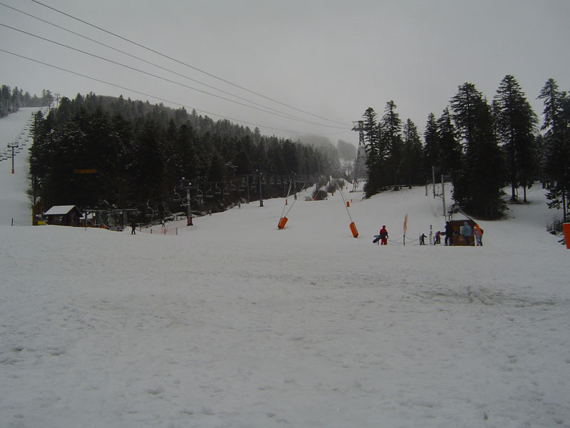 DSC05540.jpg