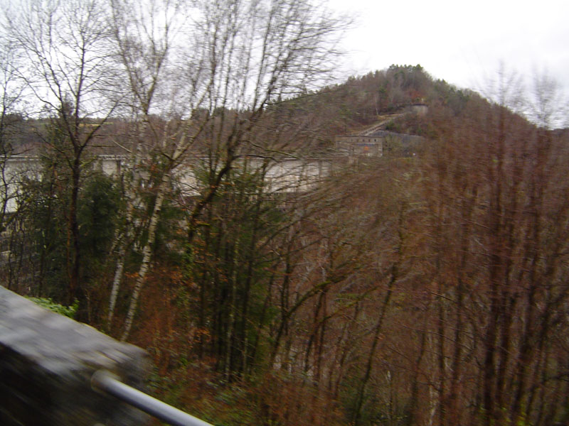 DSC05553.jpg