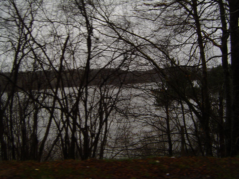 DSC05555.jpg