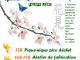 Dimanche 7 avril 2019 de 12h à 17h : Hanami au P’tit Jardin du Local