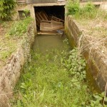 Inondation au jardin