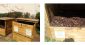 Du compost disponible dans le bac de maturation du Local